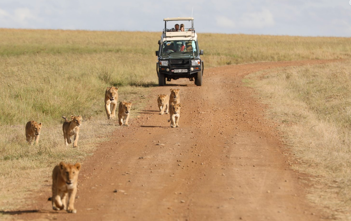 Enkusero Mara thumbnail 6